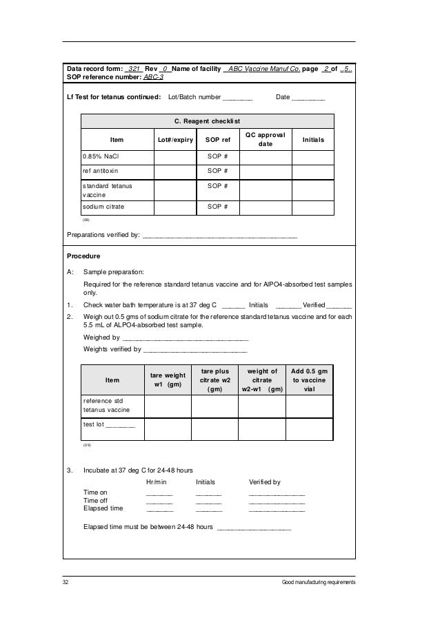 p and l report template