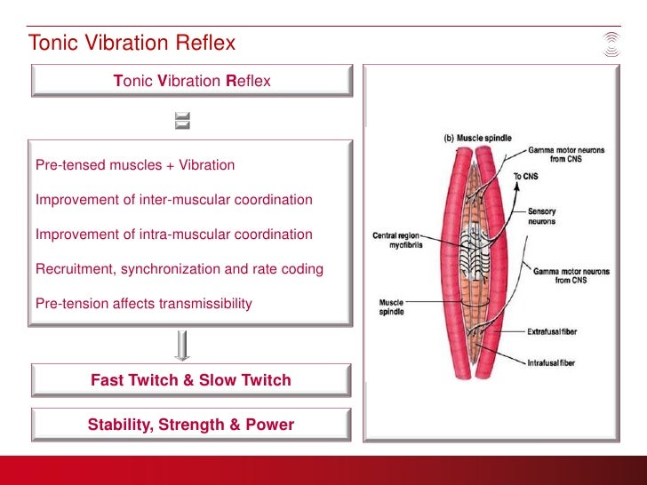 Whole Body Vibration For Health Clubs