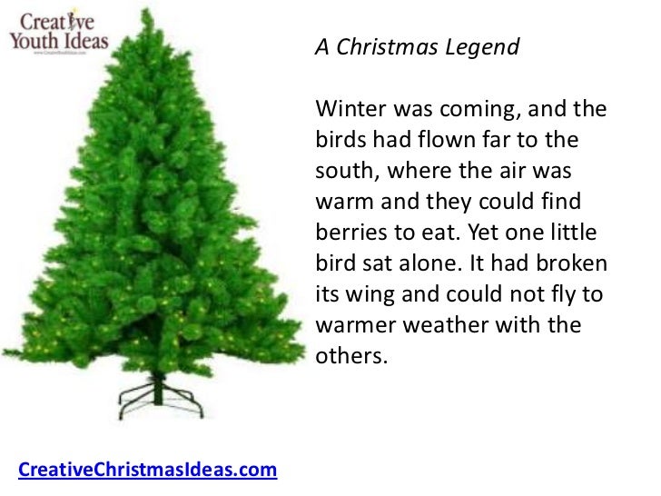 top 28 how to stop christmas tree from losing its top 28 how to stop christmas tree from losing its