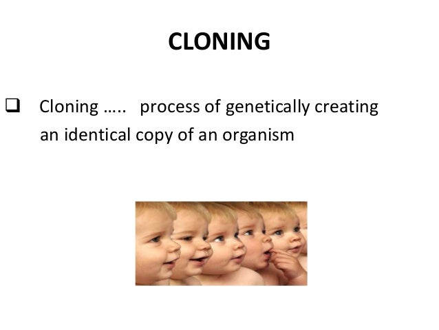 Cloning Humans Essay