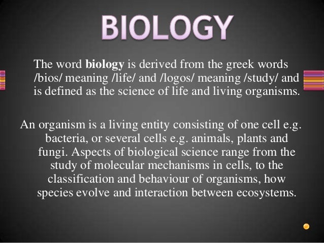 the biologist essay the biologist essay