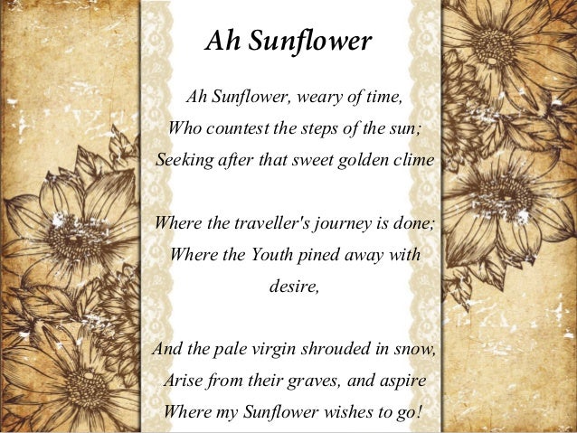 William Blake sunflower William Blake sunflower