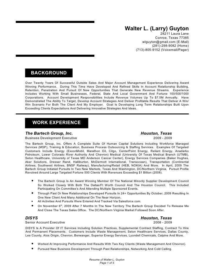 business account executive resumes