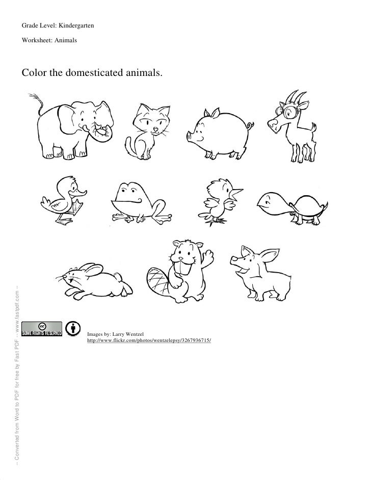 Printable Activities For Kindergartners