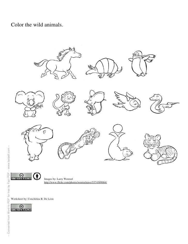 animals worksheets on kindergarten wild wild For  Wild  animals Kindergarten Animals Worksheet