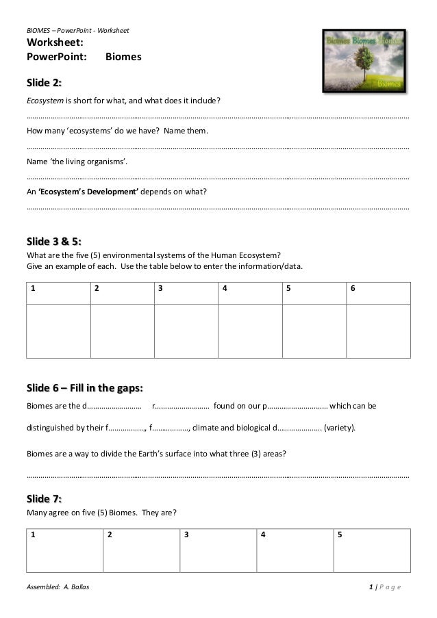 Biomes: Worksheet