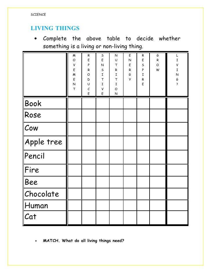 Worksheet living things1