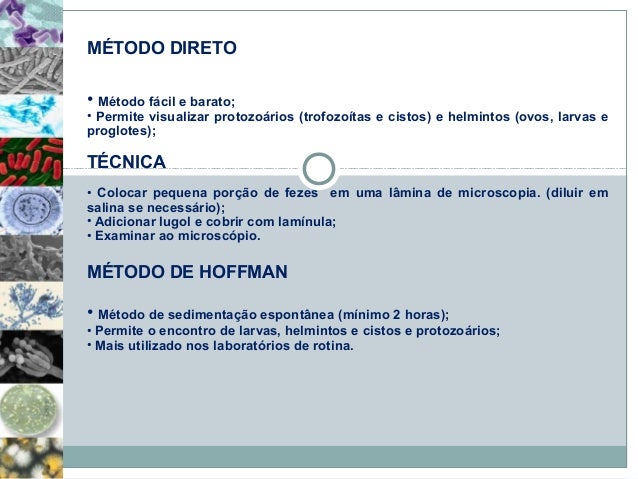 Se o teste de sangue em parasitas é eficaz