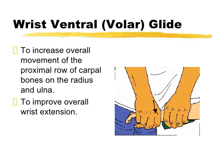Wrist Hand Presentation