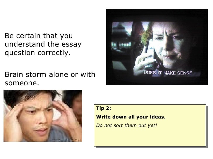 Enlightenment Essay Thesis
