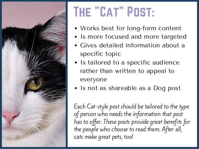 How To Adopt A Dog Or A Cat Topic How To Adopt A Dog Or A Cat Topic