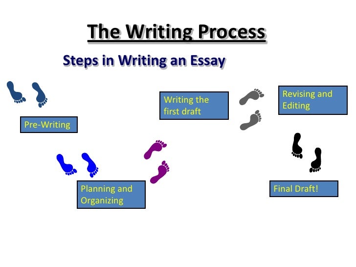 My writing process essay