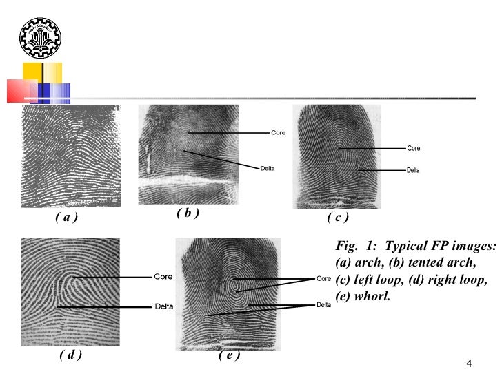 Fingerprint High Level Classification