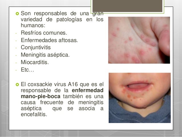 active ingredient of synthroid active ingredient of synthroid