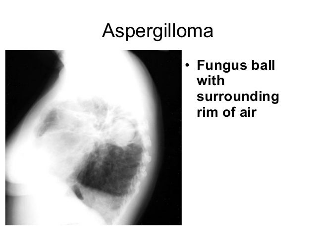 immigration legal professional cleveland ohio own family law lawyer vista ca