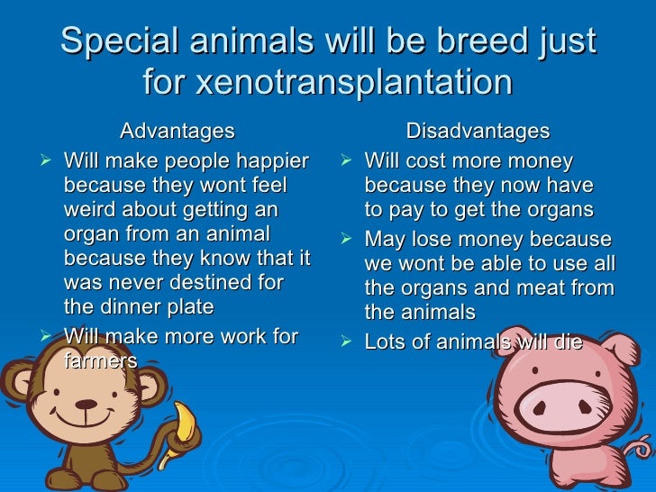 xenotransplants essay xenotransplants essay