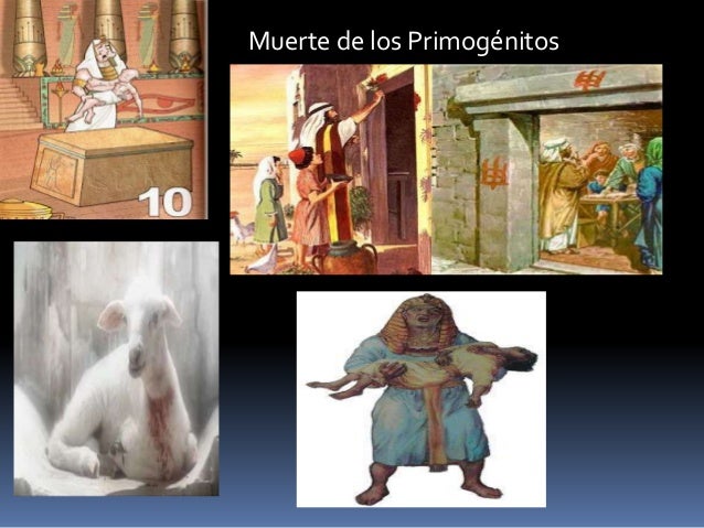 Las 10 Plagas De Egipto Muerte De Los Primogenitos