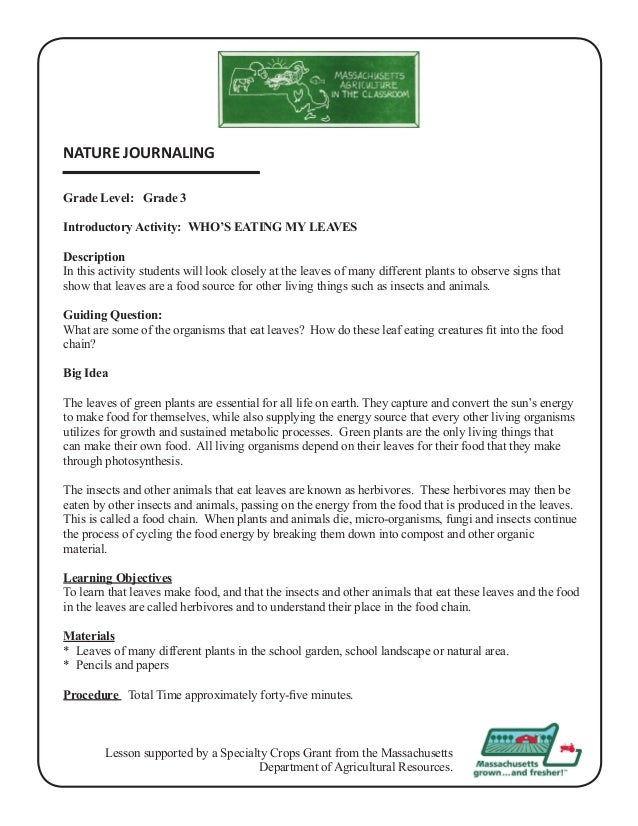 Topics for in class essays picture