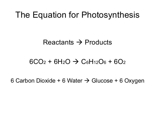 photosysthesis equation photosysthesis equation