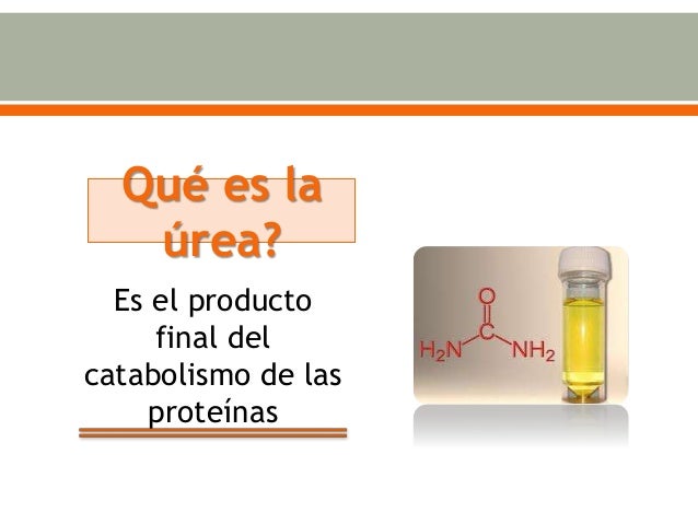 Urea, creatinina y acido úrico - Micky Gálvez