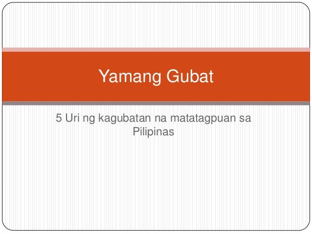 yamang gubat Yamang gubat sa mga pinagkukunang yaman ng bansaâ ¦ang mga kagubatan ang may pinakamalaking sukat maraming nakukuhang tabla at. yamang gubat Yamang gubat sa mga pinagkukunang yaman ng bansaâ ¦ang mga kagubatan ang may pinakamalaking sukat maraming nakukuhang tabla at.