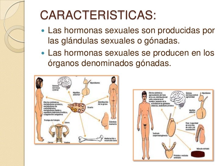 El pene antes de la operación