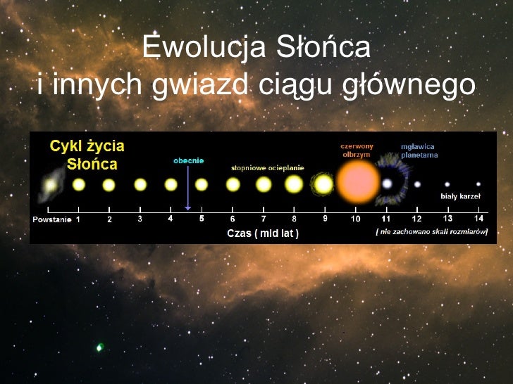 Gwiazdy Na Ziemi Każde Dziecko Jest Wyjątkowe Zycie Gwiazd