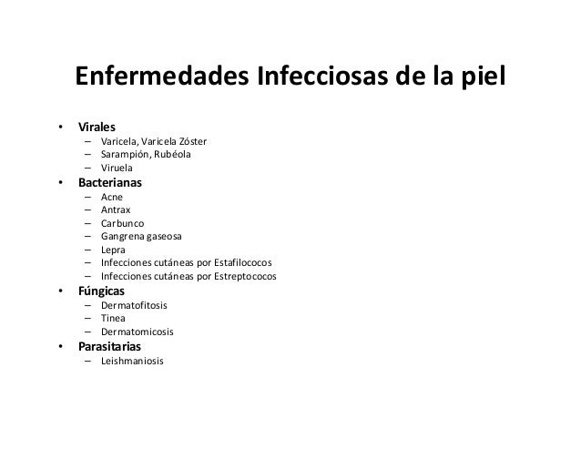 Las capas de la cutis de los granos