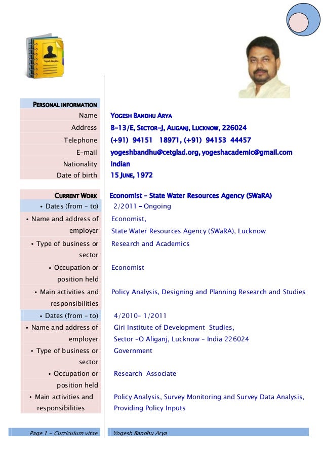 information technology cv