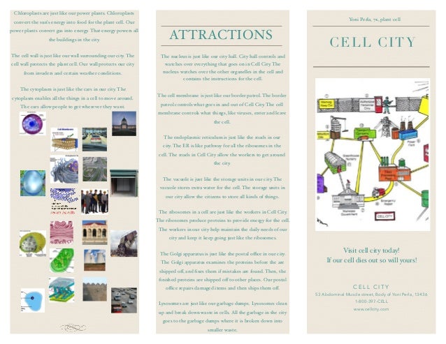 cell analogy ideas