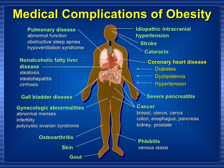 kidney feature endocrine gadget