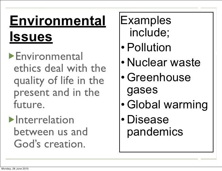 Essay on environmental ethics