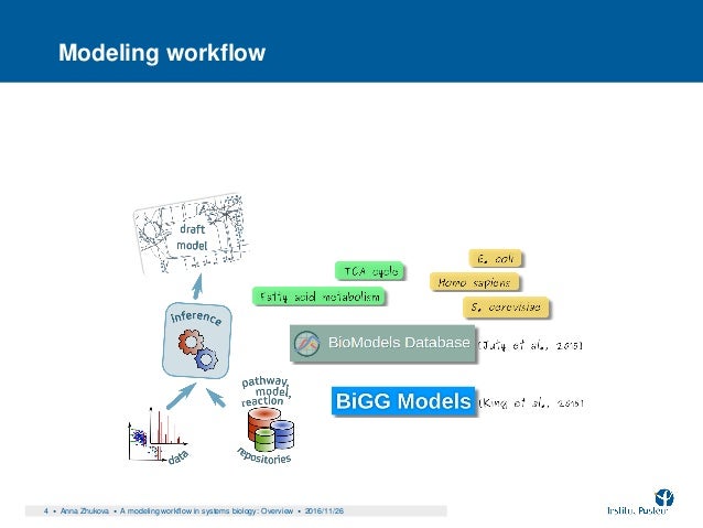 modeling workflow a modeling workflow in systems biology an overview modeling workflow a modeling workflow in systems biology an overview