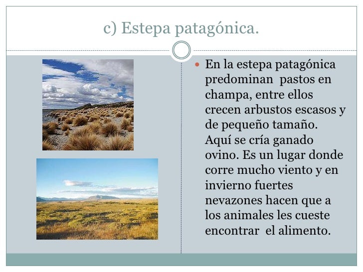 Zona austral catalina espíndola