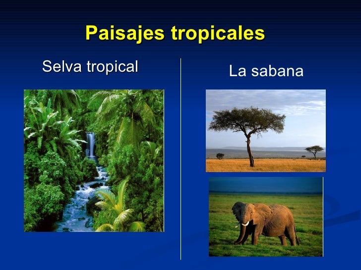 Imagenes De Paisajes De Zonas Climaticas | zonas clim 225 ticas y paisajes Imagenes De Paisajes De Zonas Climaticas | zonas clim 225 ticas y paisajes