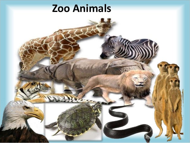 Animal Project Editor Zoo Tycoon 2