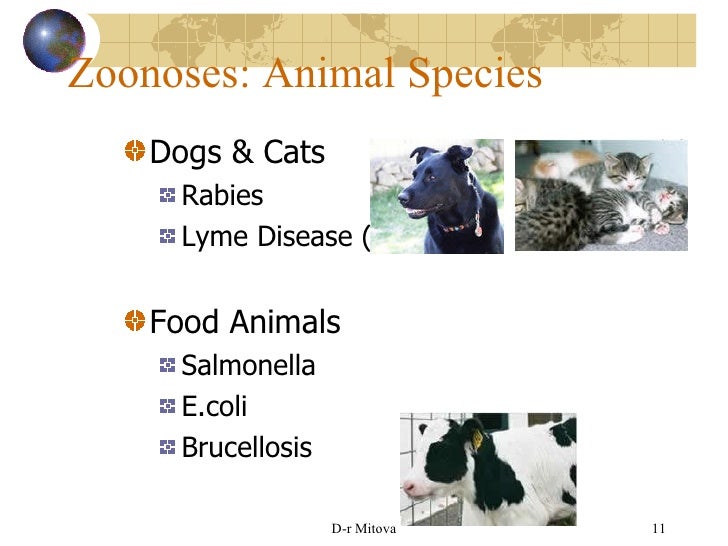 Zoonosis