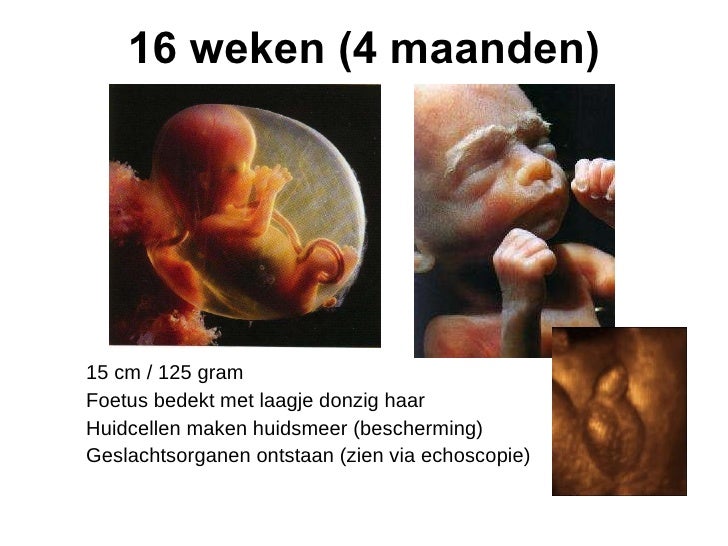 Zwangerschap Bevalling Kraam