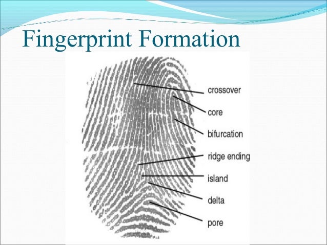 handwriting line
