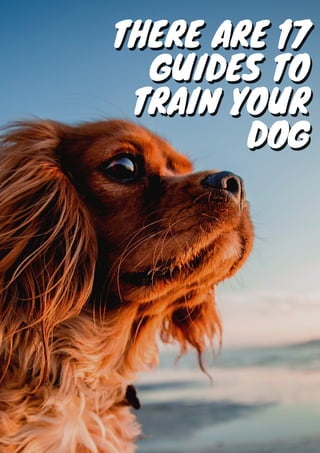 THERE ARE 17
THERE ARE 17
GUIDES TO
GUIDES TO
TRAIN YOUR
TRAIN YOUR
DOG
DOG




 