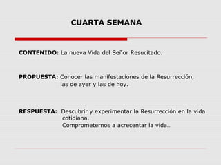 CUARTA SEMANA

CONTENIDO: La nueva Vida del Señor Resucitado.

PROPUESTA: Conocer las manifestaciones de la Resurrección,
las de ayer y las de hoy.

RESPUESTA: Descubrir y experimentar la Resurrección en la vida
cotidiana.
Comprometernos a acrecentar la vida…

 