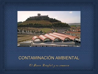 CONTAMINACIÓN AMBIENTALCONTAMINACIÓN AMBIENTAL
El Duero, Peñafiel y su comarcaEl Duero, Peñafiel y su comarca
 