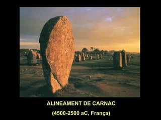 ALINEAMENT DE CARNAC 
(4500-2500 aC, França) 
 