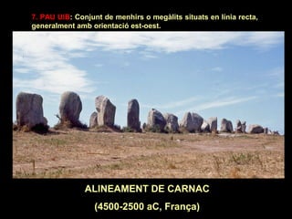 7. PAU UIB: Conjunt de menhirs o megàlits situats en línia recta, 
generalment amb orientació est-oest. 
ALINEAMENT DE CARNAC 
(4500-2500 aC, França) 
 