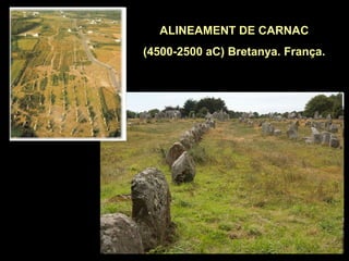 ALINEAMENT DE CARNAC 
(4500-2500 aC) Bretanya. França. 
 