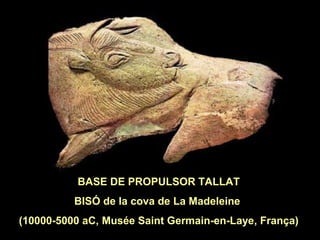 BASE DE PROPULSOR TALLAT 
BISÓ de la cova de La Madeleine 
(10000-5000 aC, Musée Saint Germain-en-Laye, França) 
 