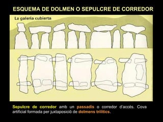 ESQUEMA DE DOLMEN O SEPULCRE DE CORREDOR 
Sepulcre de corredor amb un passadís o corredor d’accés. Cova 
artificial formada per juxtaposició de dolmens trilítics. 
 