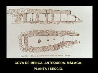 COVA DE MENGA. ANTEQUERA. MÀLAGA. 
PLANTA I SECCIÓ. 
 