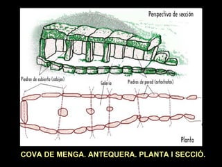 COVA DE MENGA. ANTEQUERA. PLANTA I SECCIÓ. 
 