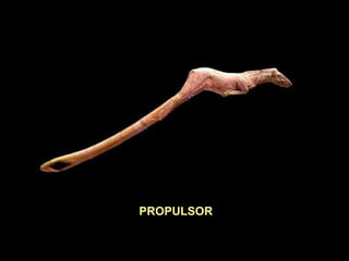 PROPULSOR 
 